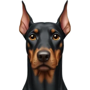 Doberman sticker