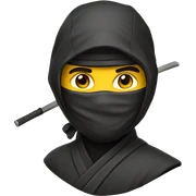 Ninja study sticker