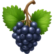 berry sticker