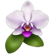 orchid flower sticker