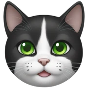 black and white cat with green eyes sticker