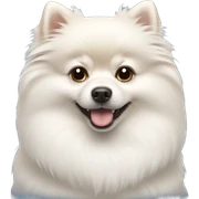White Pomeranian  sticker