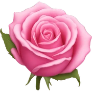 pink rose sticker