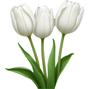 White tulips sticker
