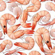 Shrimp funeral  sticker