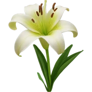 lily sticker