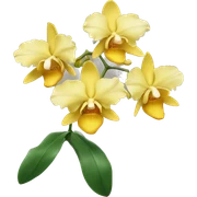 Yellow orchid sticker