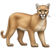 Puma sticker