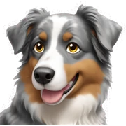 Australian Shepherd sticker