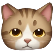 Sleepy cat in a blanket  sticker