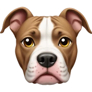 Pitbull sticker