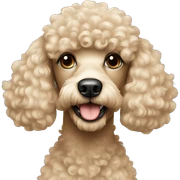 Beige poodle  sticker