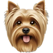 Yorkshire terrier sticker