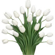 White tulips sticker