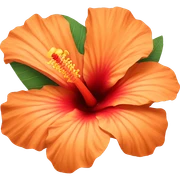 orange hibiscus flower sticker