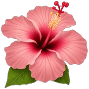 hibiscus sticker