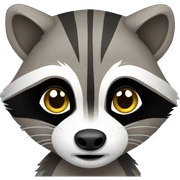 Raccoon sticker