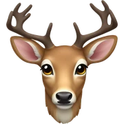 deer sticker