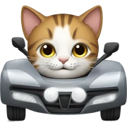 Cat driving bmw sticker