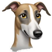 Greyhound  sticker