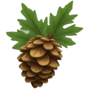 pine cone sticker