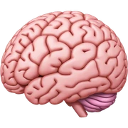 Brain sticker