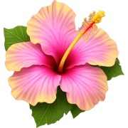 yellow and pink hibiscus flower sticker