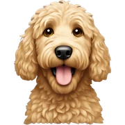Golden doodle sticker