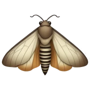 moth sticker