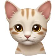 kitten sticker