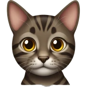 Dark brown tabby cat sticker