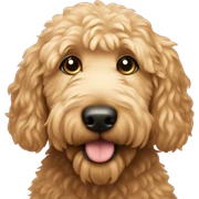 golden doodle sticker