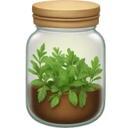 jar of herbs sticker