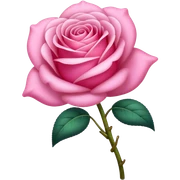 Laço rosa  sticker