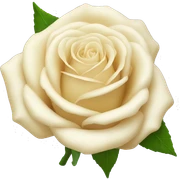 Cream roses sticker