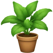 plant sticker