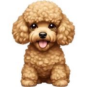 Toy poodle sticker