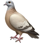 Beige pigeon  sticker
