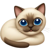 Siamese cat sleeping  sticker