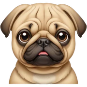 pug sticker