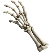Skeleton arm sticker