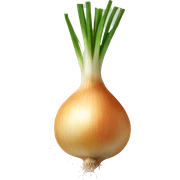 Onion sticker