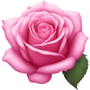 Pink rose  sticker
