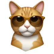 Cat with sunglasses sticker