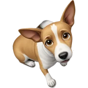 dog on couch from above sticker