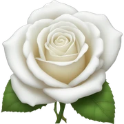 white rose sticker