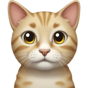 Cute cat sticker