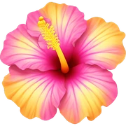 yellow and pink hibiscus flower sticker