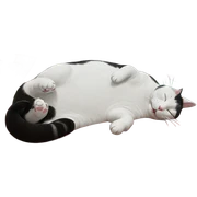 sleeping cat with closed eyes sticker
