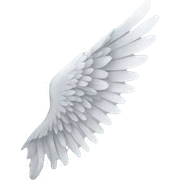 wing sticker